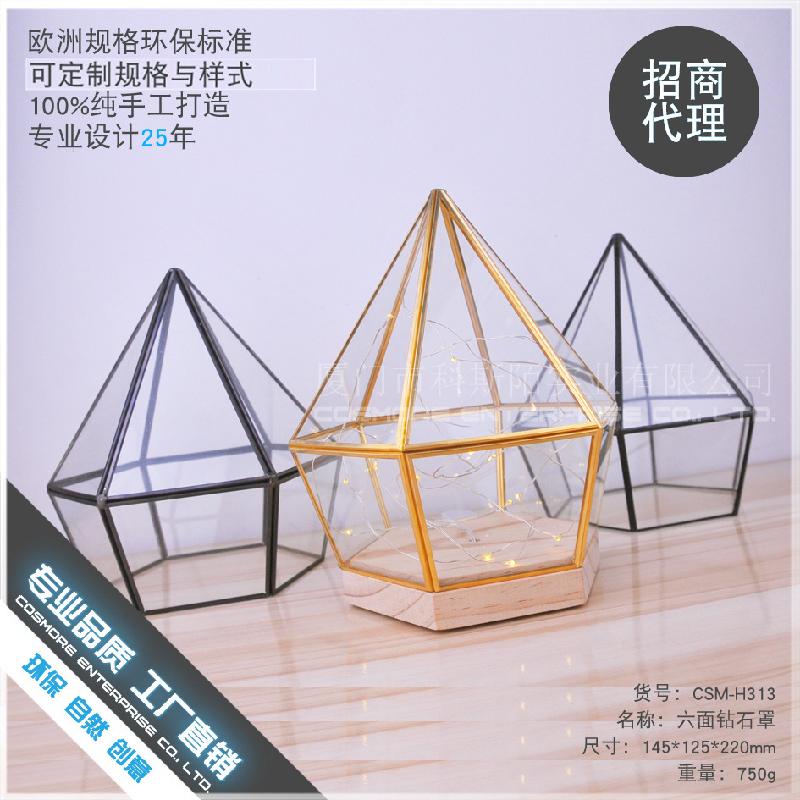 Chậu Đa Giác DG-154 Hoa bảo vệ thủy tinh với nền gỗ bảy cạnh