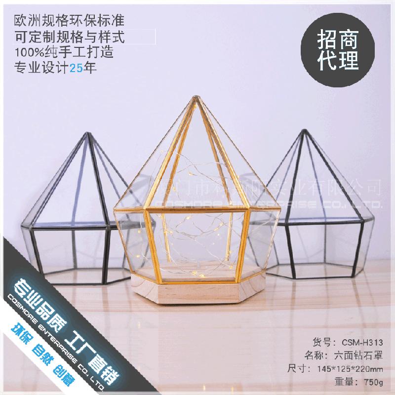 Chậu Đa Giác DG-154 Hoa bảo vệ thủy tinh với nền gỗ bảy cạnh