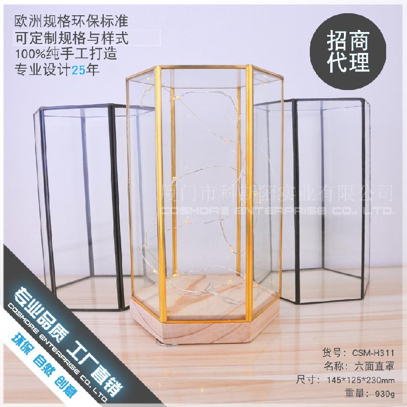 Chậu Đa Giác DG-156 Bộ đệm gỗ sáu mặt với ánh sáng LED, với vỏ kính thủy tinh mới sáng tạo