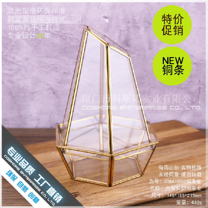 Chậu Đa Giác DG-186 Cắt ngang đồng bạc, kính vàng, hoa bền vĩnh cửu, thực vật nhỏ, chai phong cảnh, trong suốt, sáng tạo, đa thực vật, hộp hoa sỉ