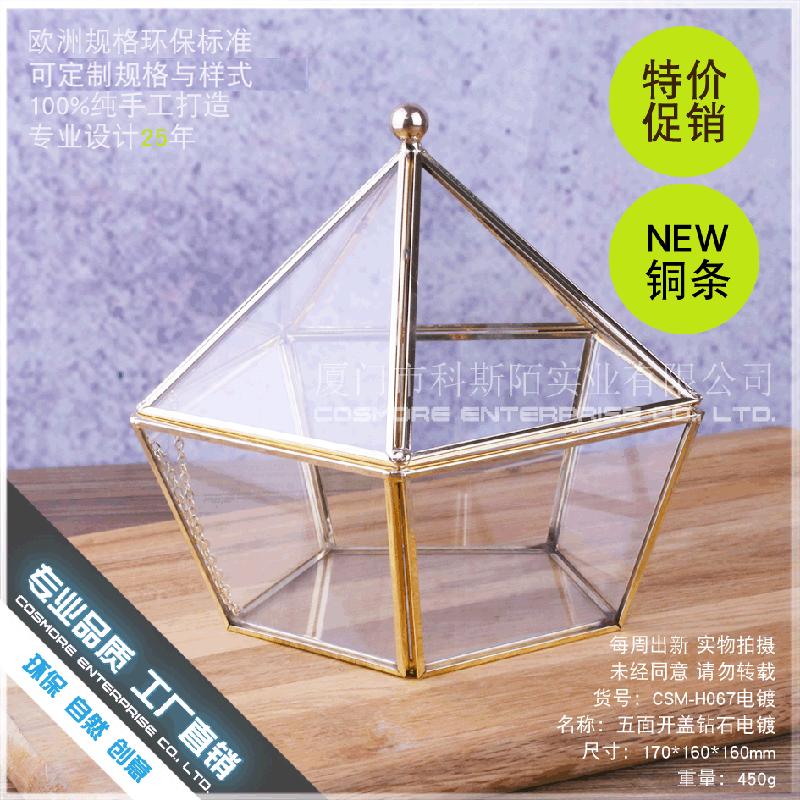 Chậu Đa Giác 永生花花盒首饰项链收纳盒防尘罩玻璃花房情人节礼物器皿五面开盖