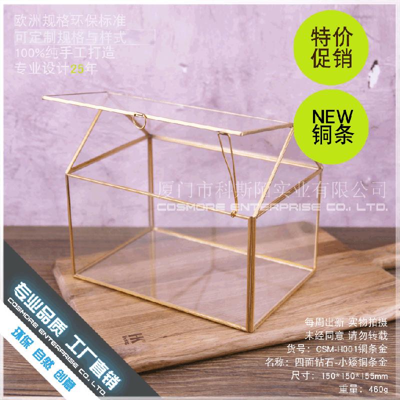 Chậu Đa Giác DG-28 Hộp quà hoa bền đời với khung đồng Bắc Âu, kính hình học và cảnh quan nhỏ trong thủy tinh