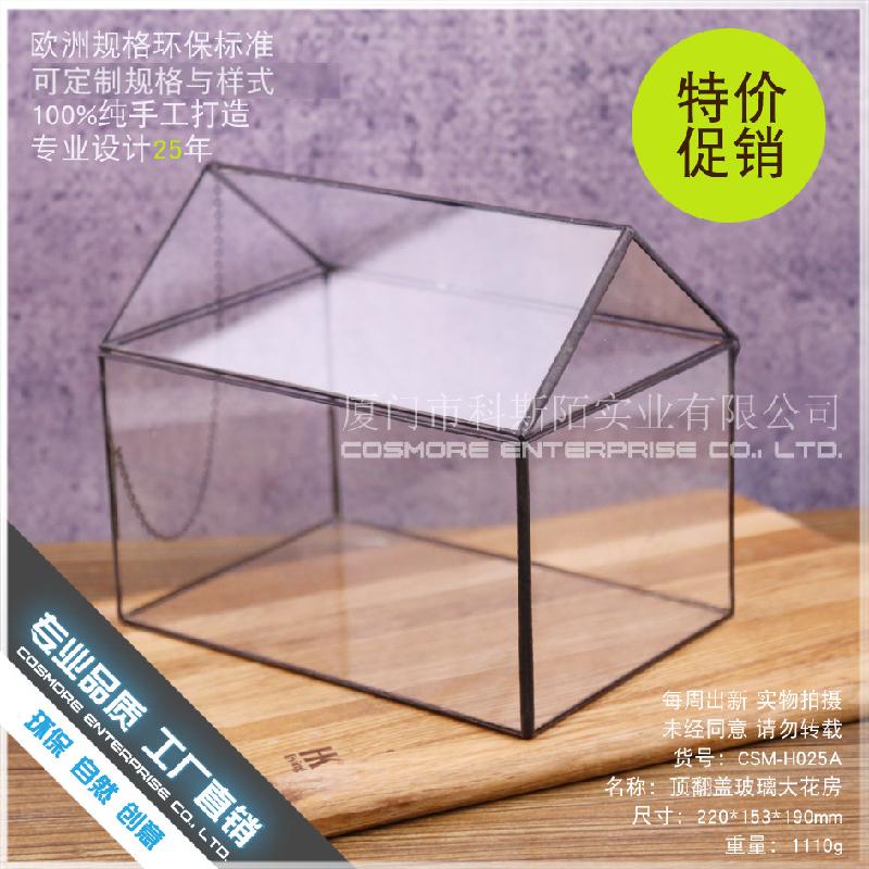 Chậu Đa Giác DG-16 Cửa hộp kính lớn có hoa, cây thực vật tảo, thảo mộc với cảnh quan nhỏ