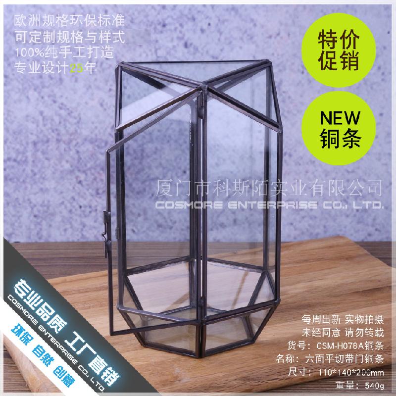 Chậu Đa Giác DG-215 Thiên nhiên hộp quà, bộ trang trí nhà cửa nhỏ