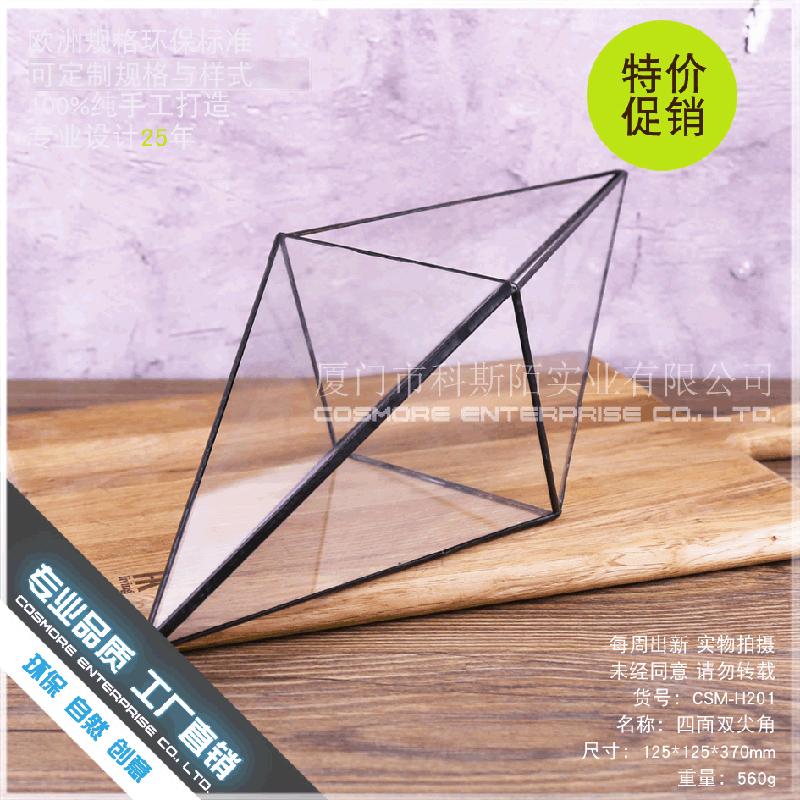 Chậu Đa Giác DG-183 Cảnh quan nhỏ với cây cỏ, của cỏ lá mọng xanh và thực vật nhỏ