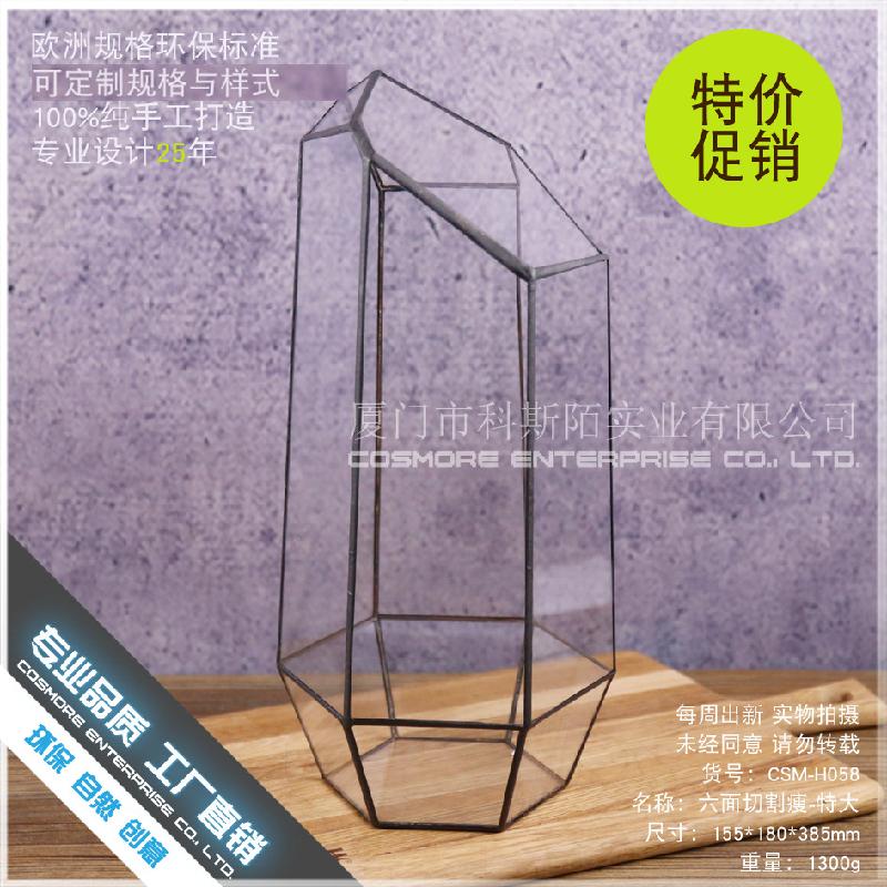 Chậu Đa Giác DG-258 Cắt lẻ 6 mặt, gọn gàng, cây thực vật tảo, thảo mộc, cảnh nhỏ độc đáo, kính không định hình, hoa nhỏ bền đời, hộp sỉ