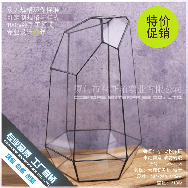 Chậu Đa Giác DG-43 Cắt bốn mặt to lớn, cây thực vật thịt nhiều, thảo mộc, cảnh quan nhỏ, kính vừa không đều, hoa bền vững nhỏ trong hộp