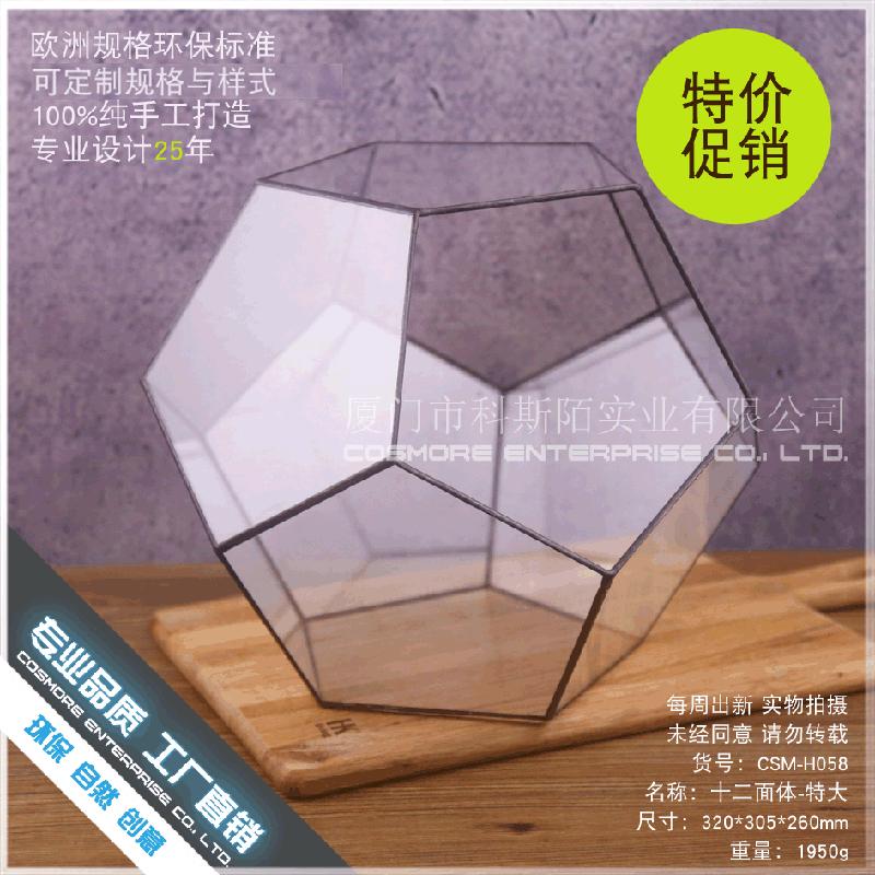 Chậu Đa Giác DG-83 Hộp hoa bền vĩnh cửu, đa rễ, thảm cỏ, cảnh nhỏ