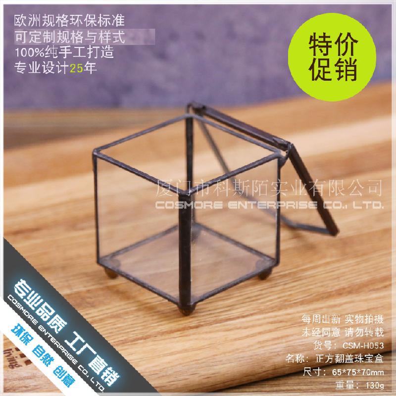 Chậu Đa Giác DG-237 Hộp trang sức nằm ngược cấu trúc, cây thực vật mộc mạc, cảnh quan nhỏ độc đáo, kính lớn bất quy tắc