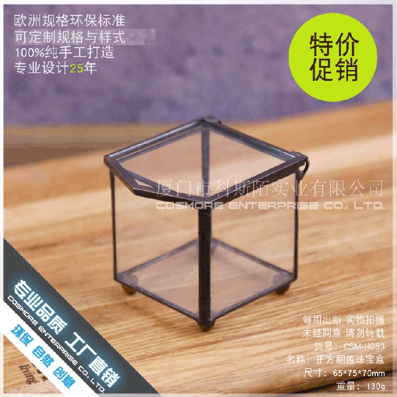 Chậu Đa Giác DG-237 Hộp trang sức nằm ngược cấu trúc, cây thực vật mộc mạc, cảnh quan nhỏ độc đáo, kính lớn bất quy tắc