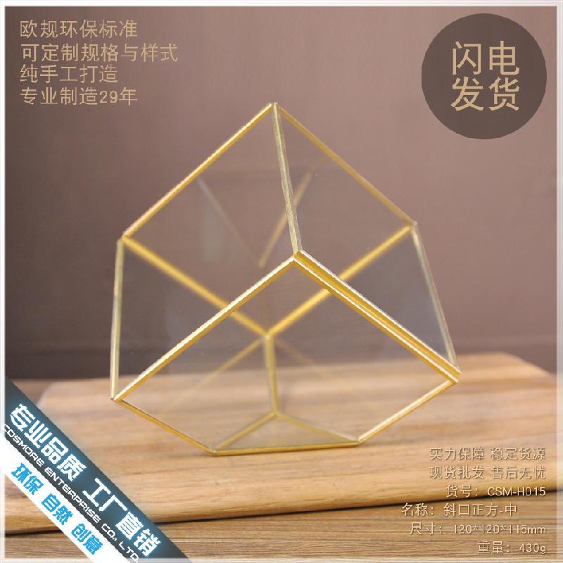 Chậu Đa Giác DG-92 Nhà hoa thủy tinh trong nhà máy, sáng tạo vĩnh cửu