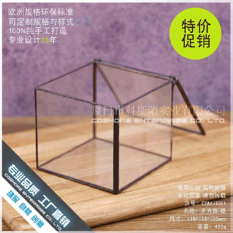 Chậu Đa Giác DG-21 Hộp nhỏ cảnh quan của thực vật mọc mịn