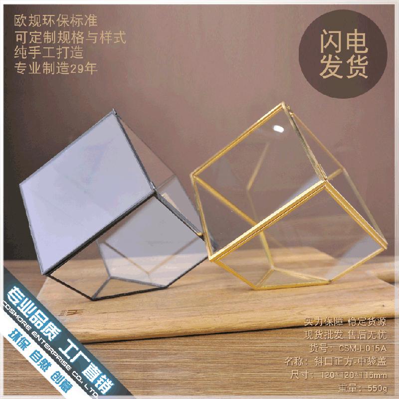 Chậu Đa Giác DG-53 Hộp kính thủy tinh có nắp với cây thực vật mọc mịn, thảo mộc vật phẩm nhỏ, hoa bền vững nhỏ