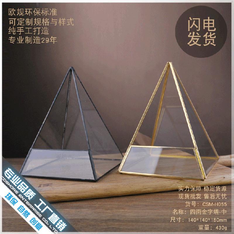 Chậu Đa Giác DG-63 Hoa vật cảnh nhỏ, cây cỏ đầy đủ, hộp kính với hình bốn mặt ngôi sao