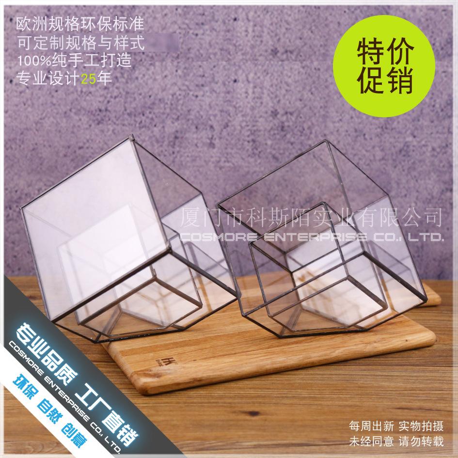 Chậu Đa Giác DG-91 Nhà máy Xiamen bán trực tiếp phòng kính chữ nhật lớn, thiết kế sáng tạo, hoa tái sinh vĩnh cửu, thảm thực vật nhỏ, cảnh quan đa thực vật và chén hoa đa thực vật