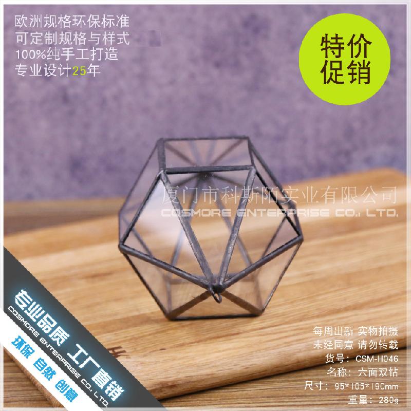 Chậu Đa Giác DG-240 Cặp đôi kim cương sáu mặt, cây thực vật nhiều thịt, cảnh quan nhỏ từ thảo mộc, không định hình, hộp hoa bền vững kính lớn