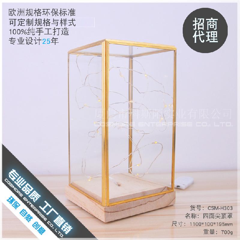 Chậu Đa Giác DG-71 Mẫu đồ trang trí đĩa cây hoa với đáy, vỏ đèn LED hoa thời gian thực kính