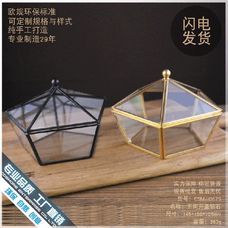 Chậu Đa Giác DG-207 Hộp hoa bền đời có 5 mặt mở, có ánh sáng, bao bọc kính