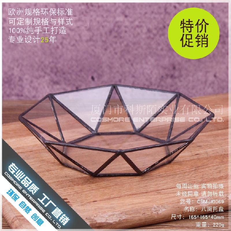 Chậu Đa Giác DG-230 Chậu hoa động vật nhiều thân, kính bát mặt, hoa thực vật bền đời, thảo mộc tím, cảnh quan nhỏ, thủy sinh trong chai