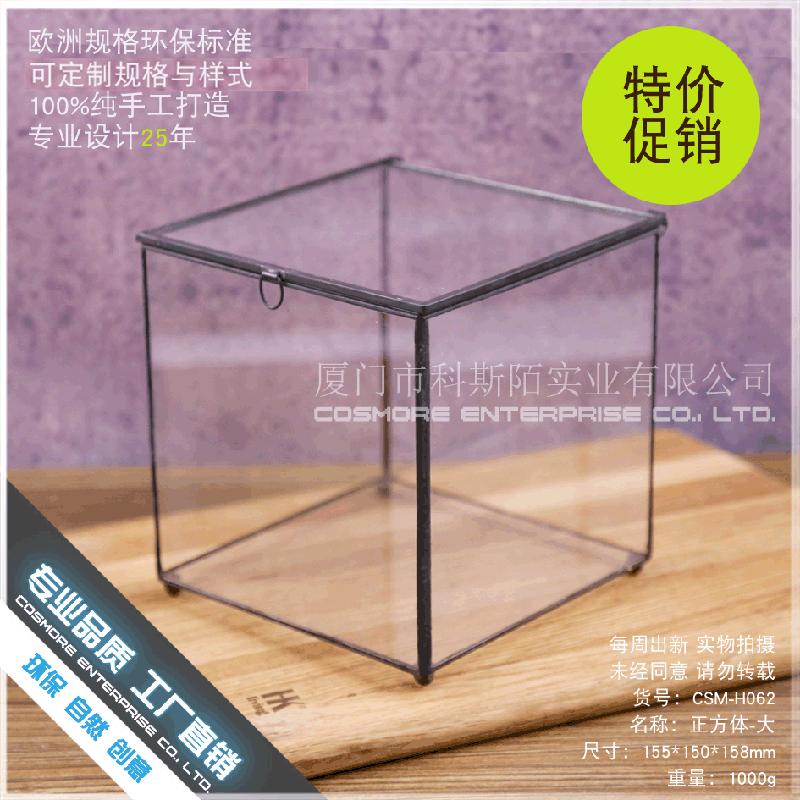 Chậu Đa Giác DG-12 Hộp quà thủy tinh với nhà hoa kính lớn và cây cỏ đông cứu