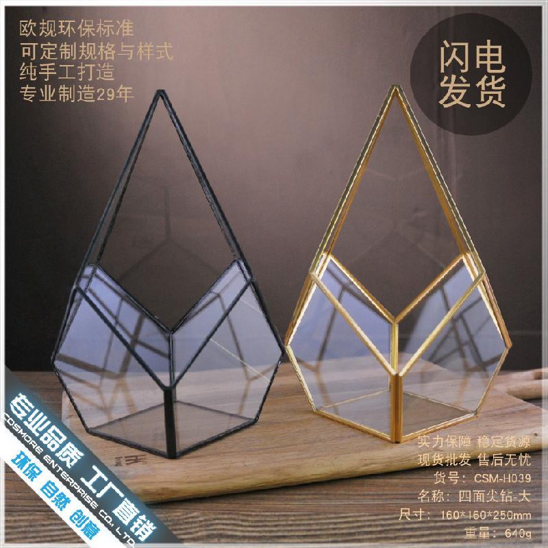 Chậu Đa Giác DG-87 Hoa nhỏ bất hợp lệ trong hộp với đá đầu bốn cạnh và cây thực vật đa thịt