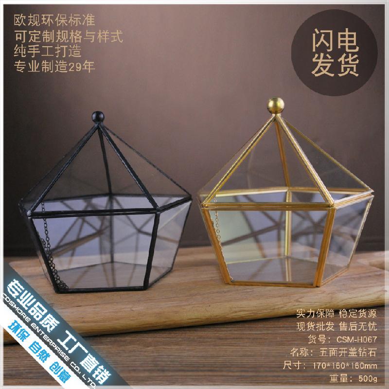 Chậu Đa Giác DG-41 Mặt nắp nổi bậc thứ năm, kim cương, cây thực vật đầy mồ hôi, cảnh quan nhỏ độc đáo, thủy tinh không định hình, hoa bền vĩnh cửu, hộp phòng thương mại