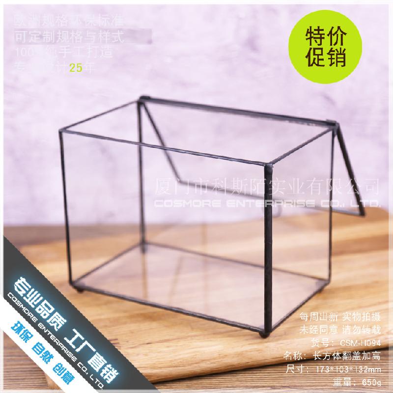 Chậu Đa Giác DG-52 Hộp kính hình hộp chữ nhật có kính cao với phong cảnh nhỏ của hoa bền vững và thảo mộc