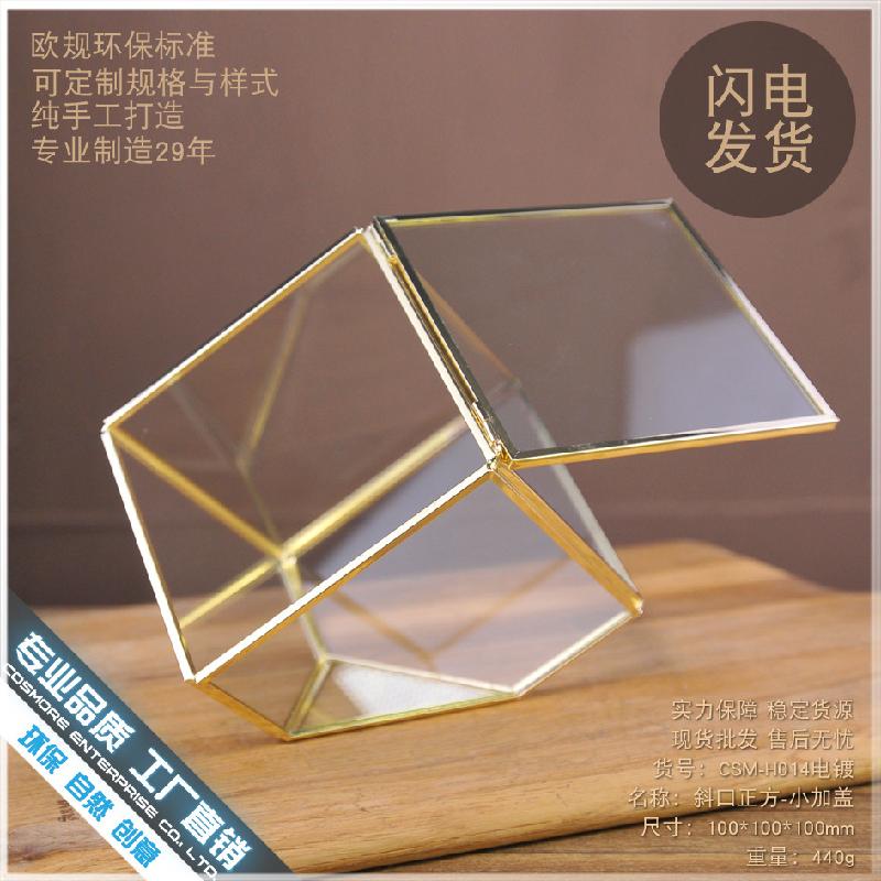 Chậu Đa Giác DG-210 Vỏ hộp quà cao cấp bằng kim loại được đổ bạc, có một cạnh dốc, chứa cây thực vật nhiều thịt, thảm mầm, cảnh quan nhỏ trong thể thức kính Hoa bền vĩnh cửu