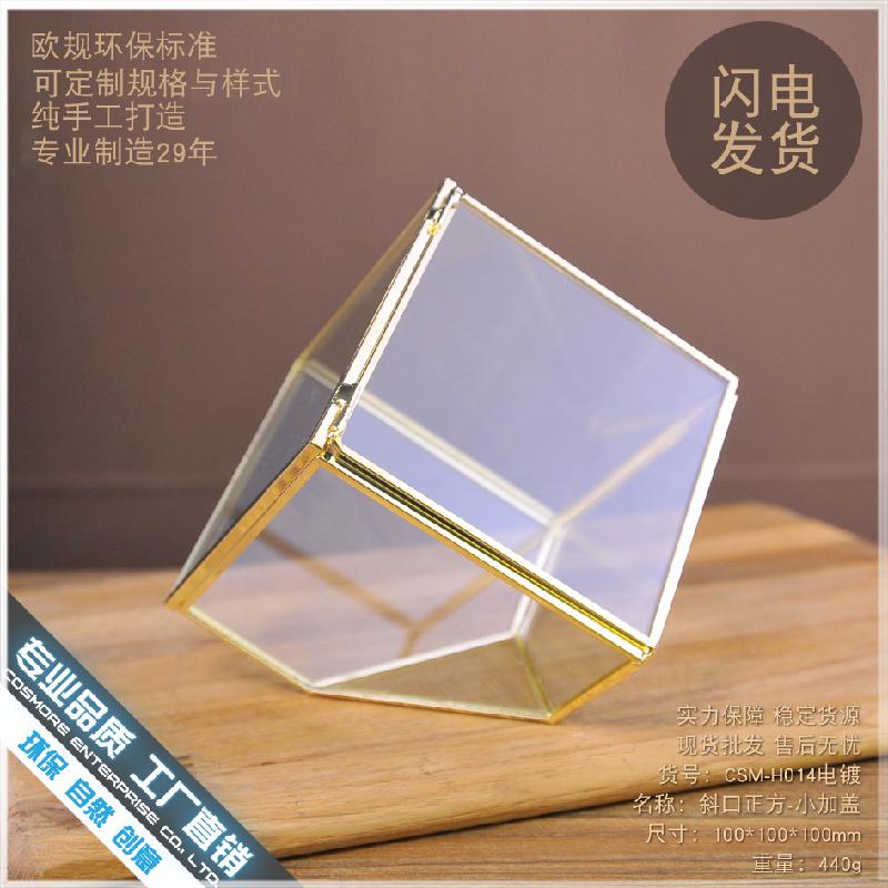 Chậu Đa Giác DG-210 Vỏ hộp quà cao cấp bằng kim loại được đổ bạc, có một cạnh dốc, chứa cây thực vật nhiều thịt, thảm mầm, cảnh quan nhỏ trong thể thức kính Hoa bền vĩnh cửu