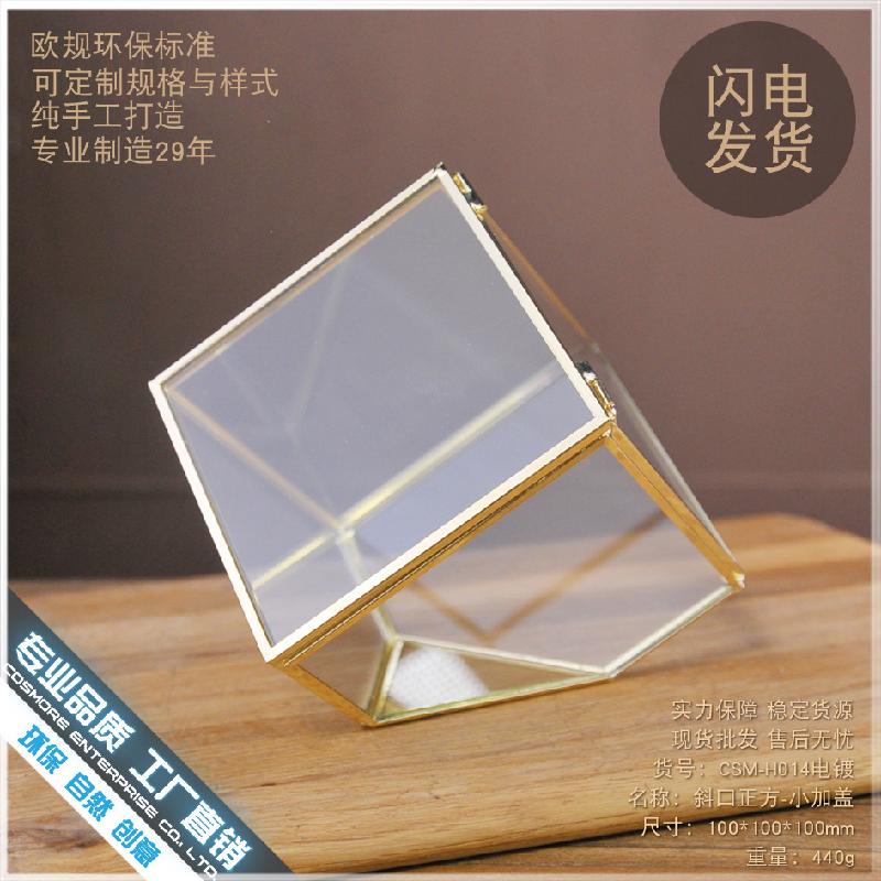 Chậu Đa Giác DG-210 Vỏ hộp quà cao cấp bằng kim loại được đổ bạc, có một cạnh dốc, chứa cây thực vật nhiều thịt, thảm mầm, cảnh quan nhỏ trong thể thức kính Hoa bền vĩnh cửu