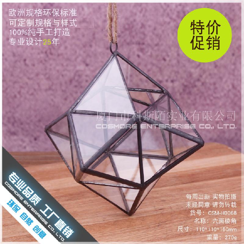 Chậu Đa Giác DG-229 Lọ hoa từ thủy tinh có 6 mặt cạnh, cây hoa sống đời, thảo mộc, cảnh quan nhỏ, thực vật sinh học trong chai