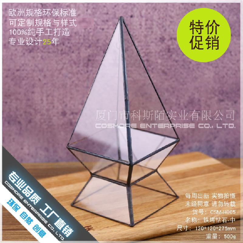 Chậu Đa Giác DG-232 Một không gian nhỏ độc đáo với cây thực vật tảo xanh