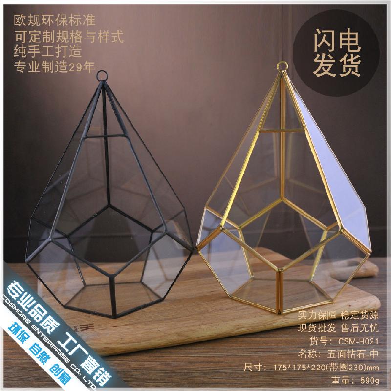 Chậu Đa Giác DG-255 Nội thất đá 5 mặt với cảnh quan mịn màng thực vật đông cơ, kính lớn không đều, hoa nhỏ bền vĩnh cửu, hộp nhà