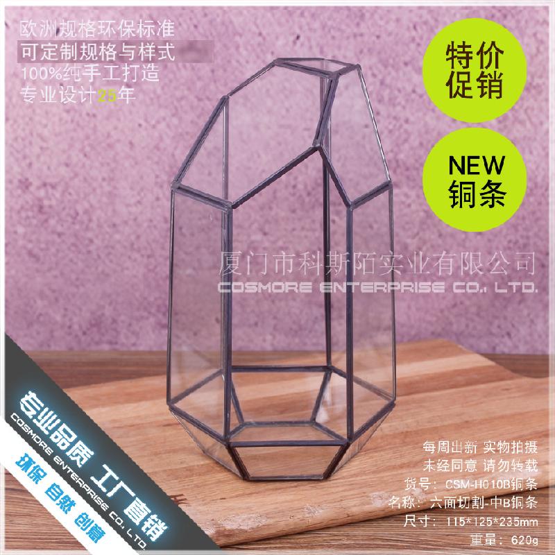 Chậu Đa Giác DG-224 Cắt bằng 6 mặt thanh đồng, phòng hoa kính B, hoa thịnh vượng, thảo mộc, cảnh quan nhỏ, trong suốt, sáng tạo, hộp cây đa thực vật bán sỉ