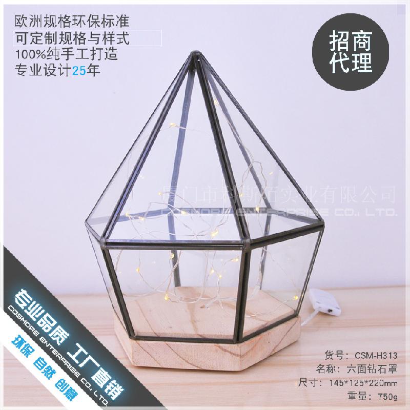 Chậu Đa Giác DG-154 Hoa bảo vệ thủy tinh với nền gỗ bảy cạnh