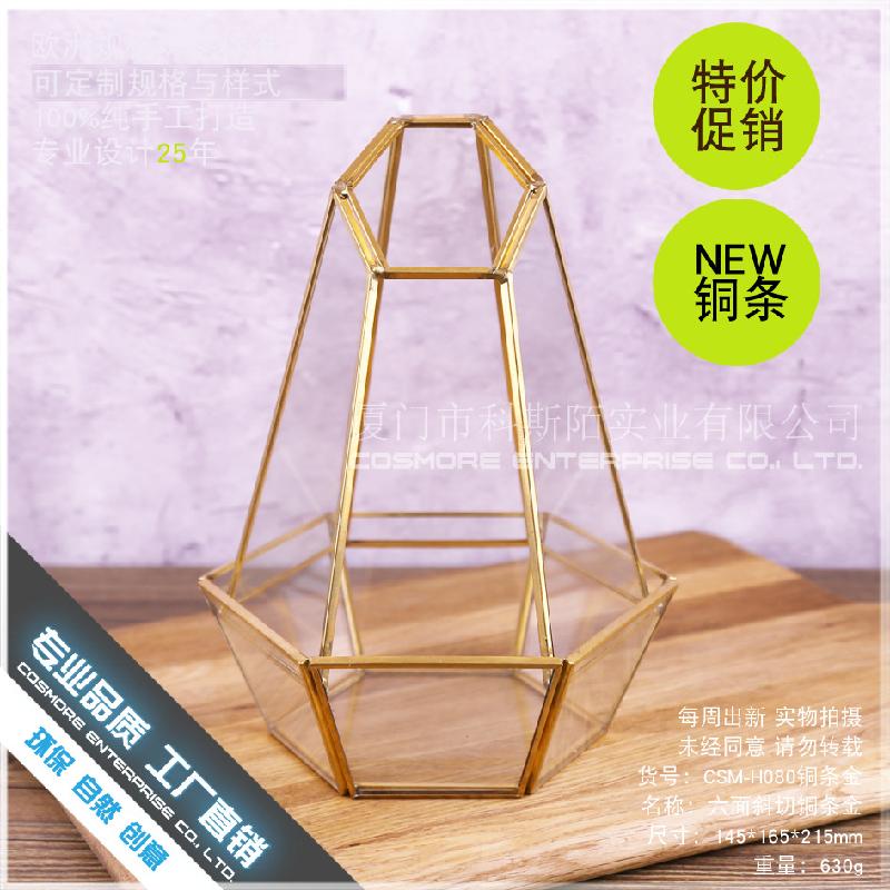 Chậu Đa Giác DG-186 Cắt ngang đồng bạc, kính vàng, hoa bền vĩnh cửu, thực vật nhỏ, chai phong cảnh, trong suốt, sáng tạo, đa thực vật, hộp hoa sỉ