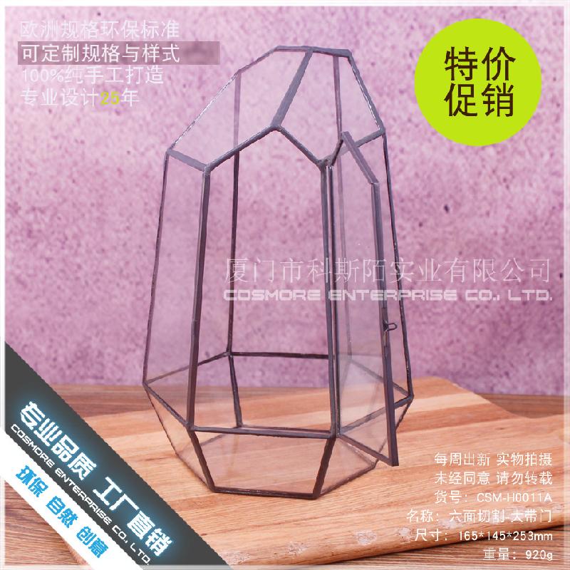 Chậu Đa Giác DG-11 Cắt kính dây lớn, pha lê kính, hoa thời đời, thịt nhỏ, bình hoa sáng tạo, phễu trong suốt