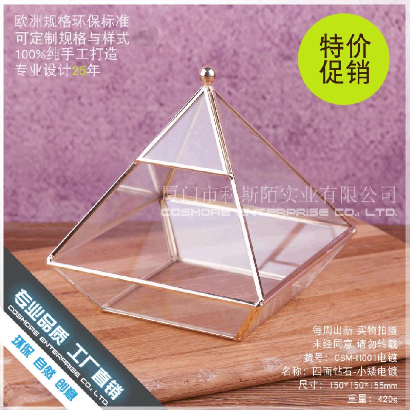 Chậu Đa Giác DG-226 Mạch điện phủ đá kim cương bụi thủy tinh, hoa thời đời, thịt cây, chén độc đáo, sỉ