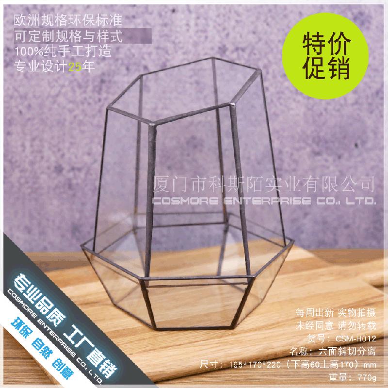 Chậu Đa Giác DG-259 Cắt bốn mặt có thể tách kính hoa nhà, thông minh, hoa thịnh vượng, thục vật hữu cơ, hộp thực vật hữu cơ