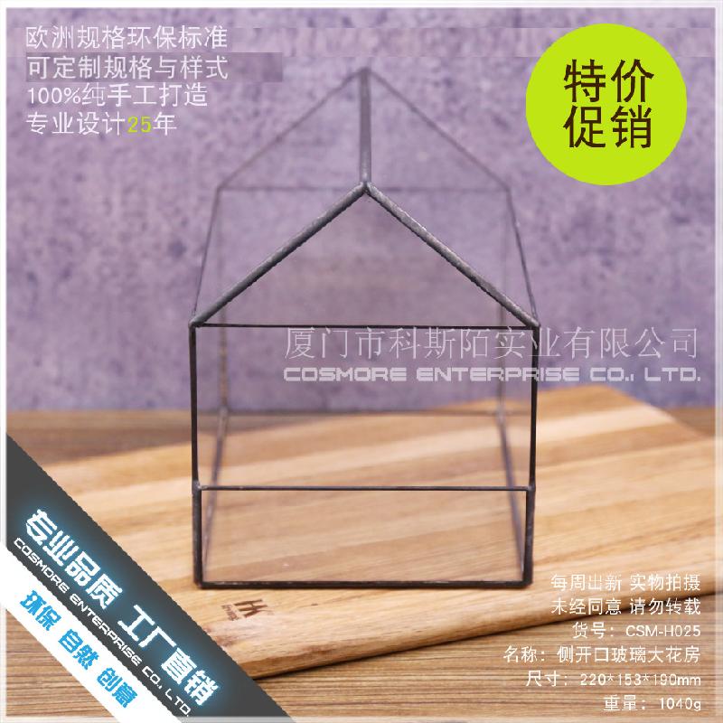 Chậu Đa Giác DG-89 Cửa sổ kính lớn có hoa, cây thực vật mọc tả, cảnh quan nhỏ của thịt mọc, hộp hoa bền vĩ đều