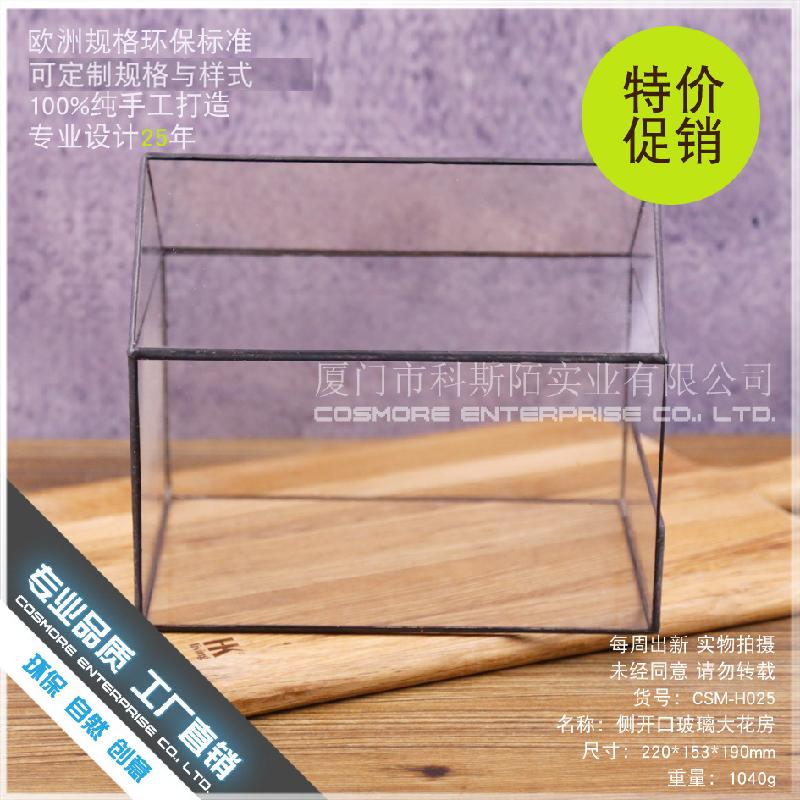 Chậu Đa Giác DG-89 Cửa sổ kính lớn có hoa, cây thực vật mọc tả, cảnh quan nhỏ của thịt mọc, hộp hoa bền vĩ đều