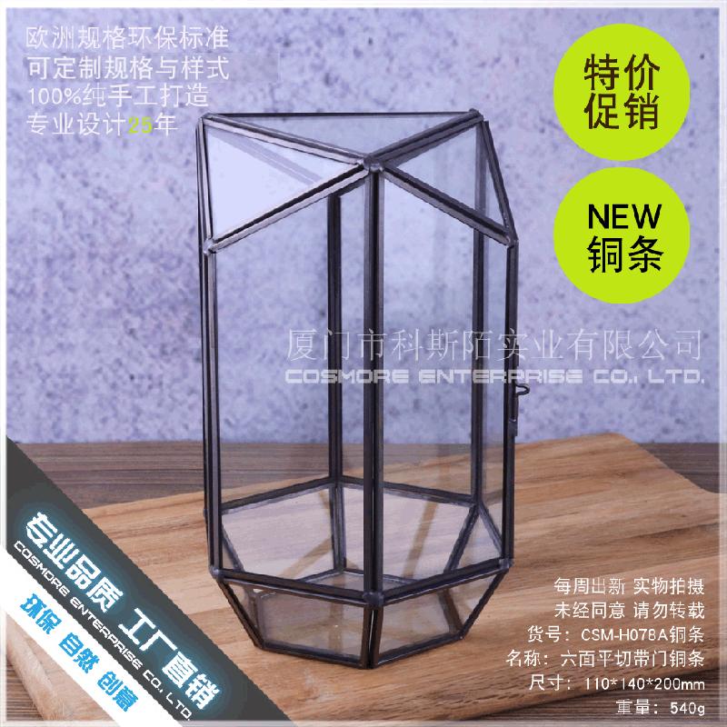 Chậu Đa Giác DG-215 Thiên nhiên hộp quà, bộ trang trí nhà cửa nhỏ