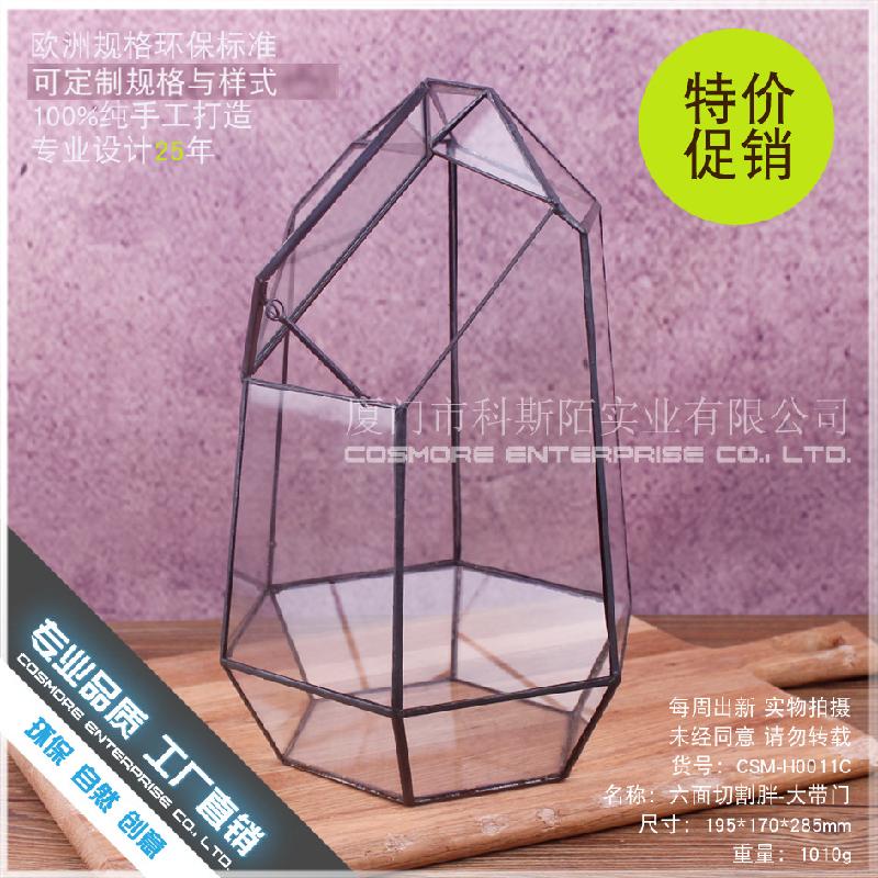 Chậu Đa Giác DG-22 Cắt kính cửa béo lớn, phong cảnh nhỏ, hoa bền vững, thảo mộc, cảnh quan trong suốt, ý tưởng sáng tạo, hộp hoa đa thực vật sỉ