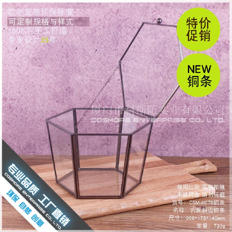 Chậu Đa Giác DG-219 Hộp quà hoa tử vong, sản phẩm công nghệ, che bọc thủy tinh, trang trí nhà cửa, sáu mặt cạnh đều, che bọc thủy tinh, phòng hoa, trang sức trang trí