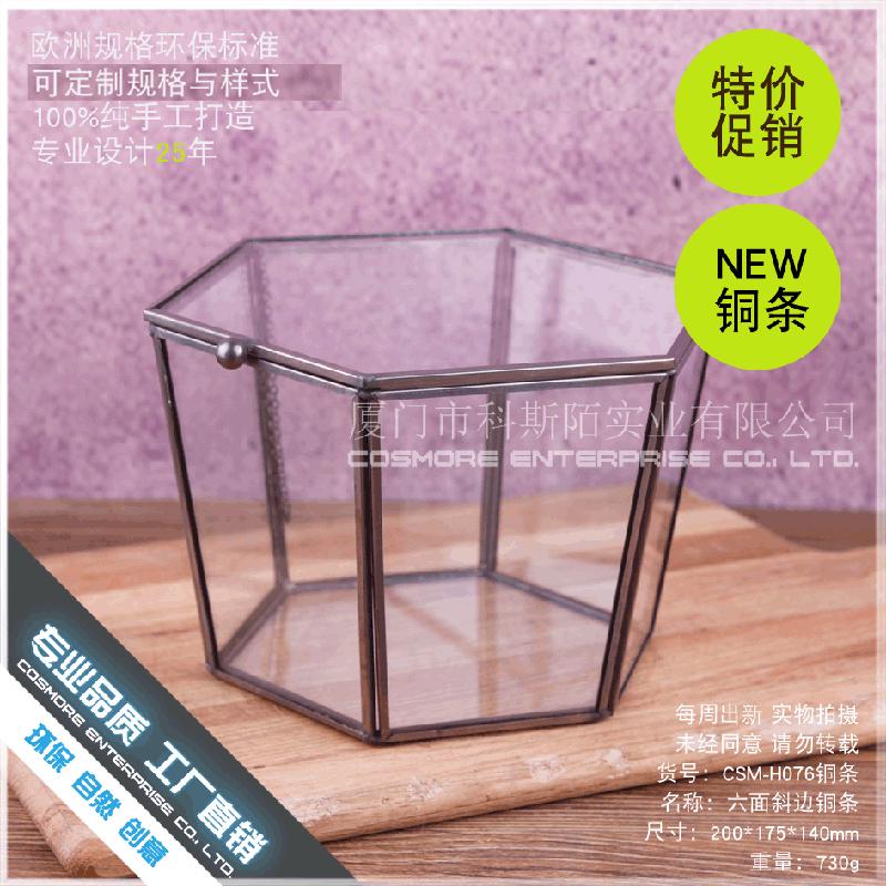 Chậu Đa Giác DG-219 Hộp quà hoa tử vong, sản phẩm công nghệ, che bọc thủy tinh, trang trí nhà cửa, sáu mặt cạnh đều, che bọc thủy tinh, phòng hoa, trang sức trang trí