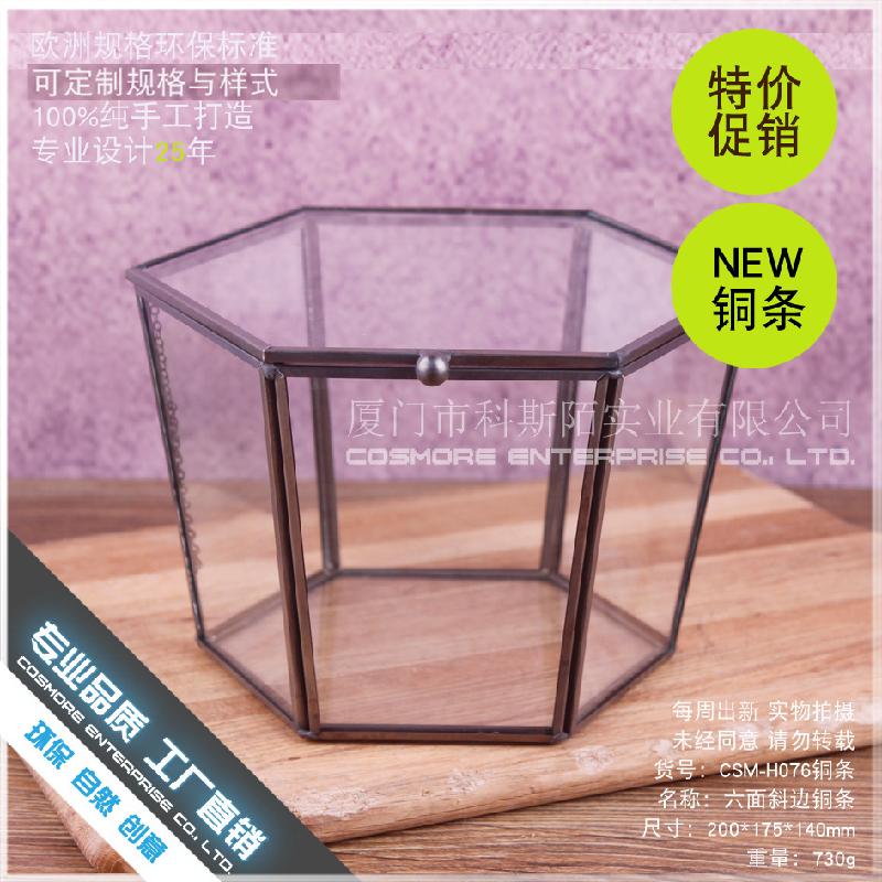 Chậu Đa Giác DG-219 Hộp quà hoa tử vong, sản phẩm công nghệ, che bọc thủy tinh, trang trí nhà cửa, sáu mặt cạnh đều, che bọc thủy tinh, phòng hoa, trang sức trang trí