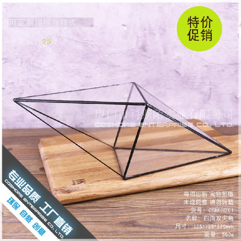 Chậu Đa Giác DG-183 Cảnh quan nhỏ với cây cỏ, của cỏ lá mọng xanh và thực vật nhỏ