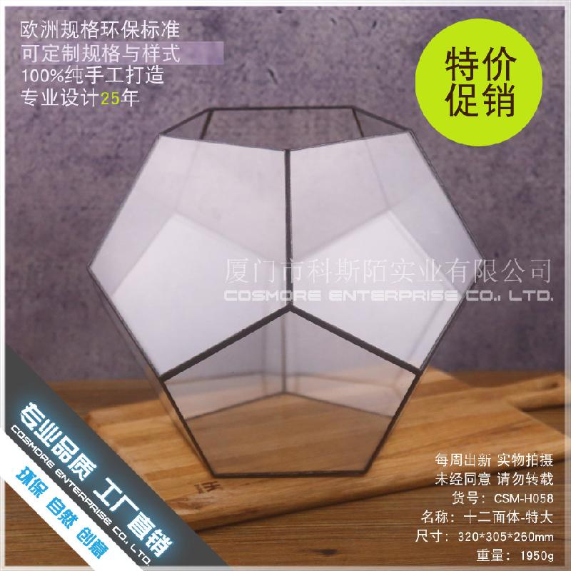 Chậu Đa Giác DG-83 Hộp hoa bền vĩnh cửu, đa rễ, thảm cỏ, cảnh nhỏ