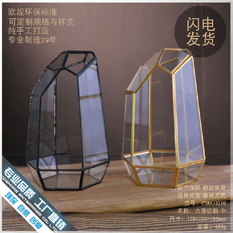 Chậu Đa Giác DG-10 Tạo cảnh quan rừng mưa bằng sứ mệnh động tượng của bề mặt bàn tính