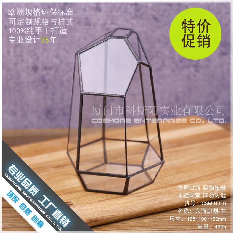 Chậu Đa Giác DG-10 Tạo cảnh quan rừng mưa bằng sứ mệnh động tượng của bề mặt bàn tính